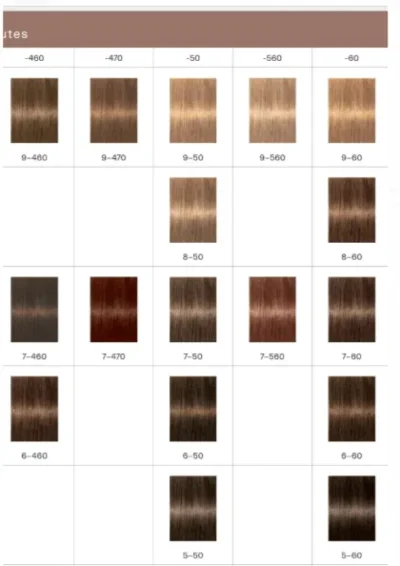 TINTURA IGORA ROYAL 60 GR - Image 8